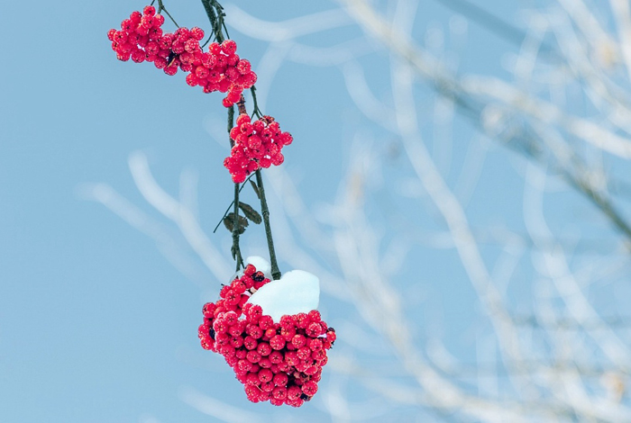 【萊沃醫療：知識分享】今日小雪，快“藏”好這份健康秘籍！